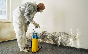 Best Residential Mold Inspection & Testing  in Soquel, CA