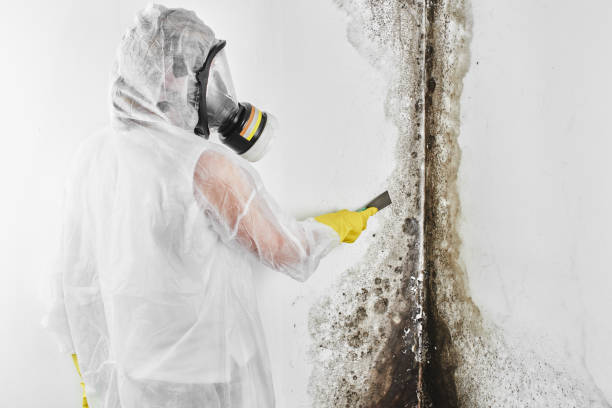 Best Mold Prevention Services  in Soquel, CA