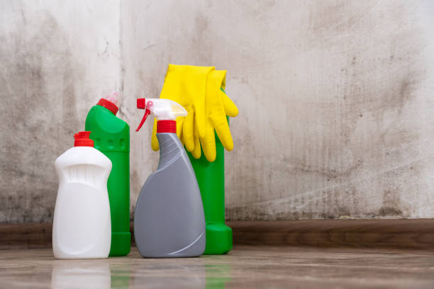  Soquel, CA Mold Prevention & Removal Pros